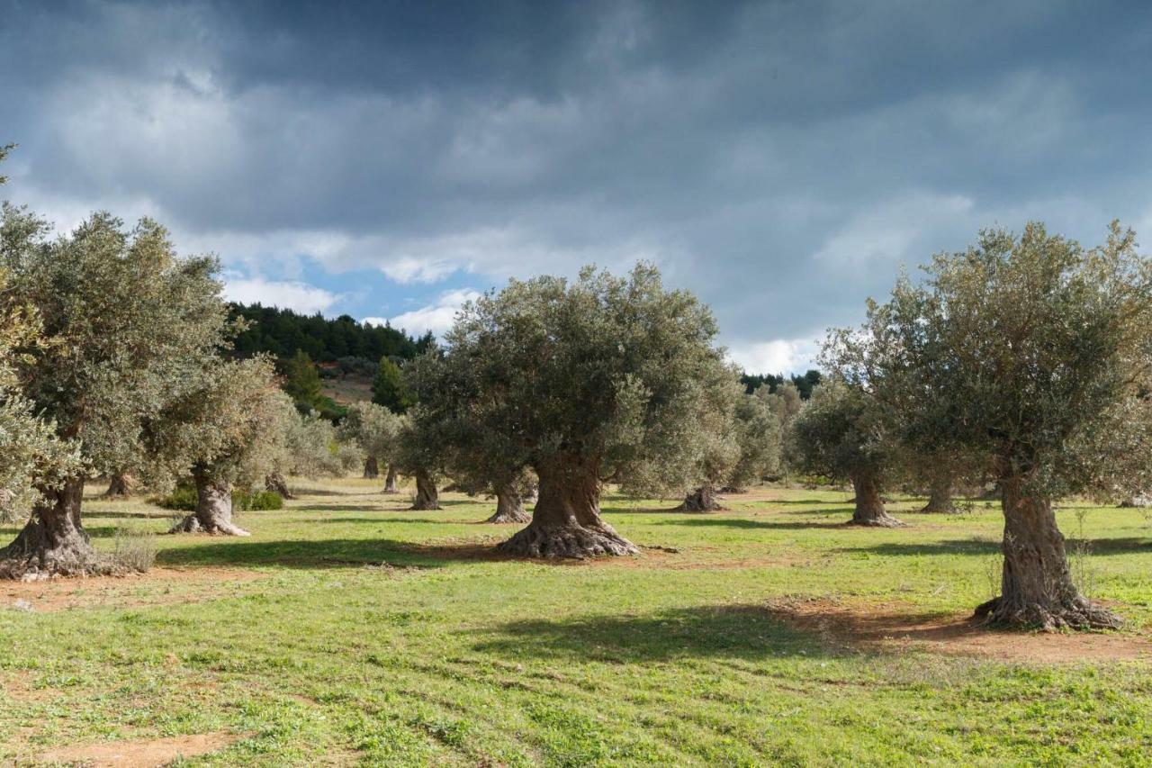 Kouvelia Country Home Luxury Villa Rental Nerotriviá 외부 사진